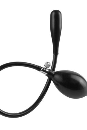 ANAL FANTASY - PLUG HINCHABLE