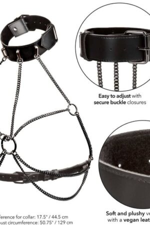CALEXOTICS - EUPHORIA ARNÉS DE CUELLO DE CADENA TALLA GRANDE
