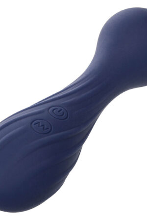 CALEXOTICS - CHARISMA TEMPTATION MASAJEADOR 12 FUNCIONES MORADO