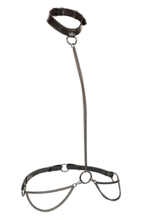 CALEXOTICS - EUPHORIA CHAIN HALTER COLLAR & LEASH