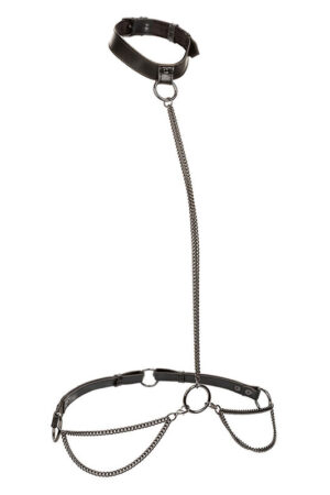 CALEXOTICS - EUPHORIA CHAIN HALTER COLLAR & LEASH PLUS SIZE