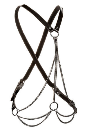 CALEXOTICS - EUPHORIA MULTICHAIN HARNESS PREMIUM
