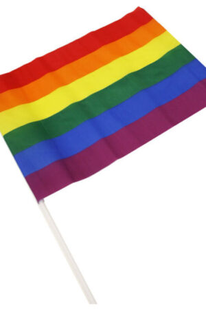 PRIDE - LGBT FLAG LARGE PENNANT