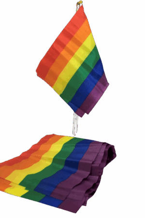 PRIDE - LGBT FLAG SMALL FLAG BANNER