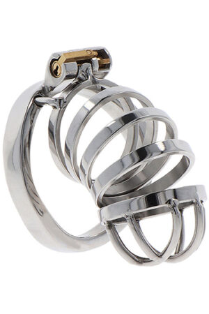 HIDDEN DESIRE - EXTREME CHASTITY COCK CAGE METAL