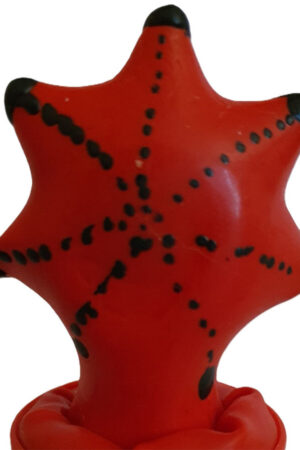 CONDOMERIE - HANDPAINTED NOVELTY CONDOMS STARFISH