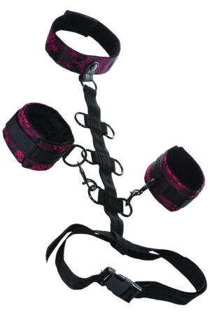 CALEXOTICS - SCANDAL COMPORAL SUPPORT WITH NECK