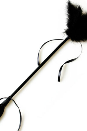 SECRETPLAY - BLACK WHIP & FEATHER