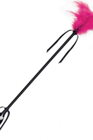 SECRETPLAY - BLACK AND FUCHSIA WHIP & FEATHER